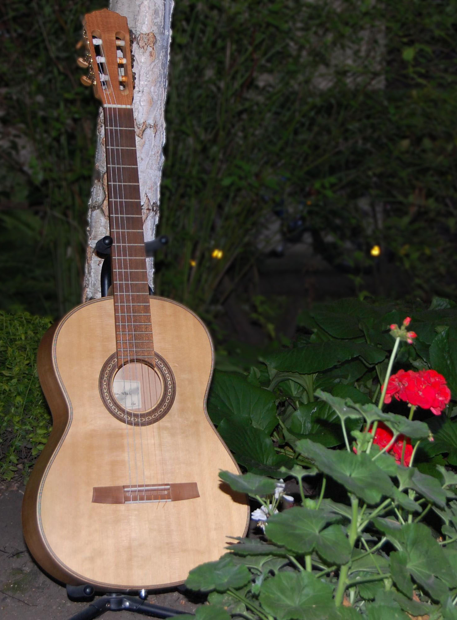 gitarre solo guitar picture
